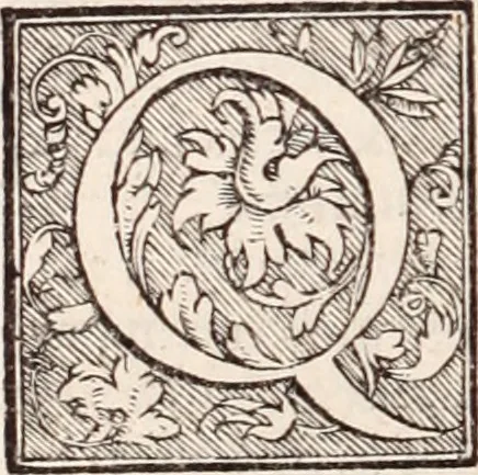 An illustration from Galeni omnia quae extant opera : in latinum sermonem conuersa, 1565, leaf 951