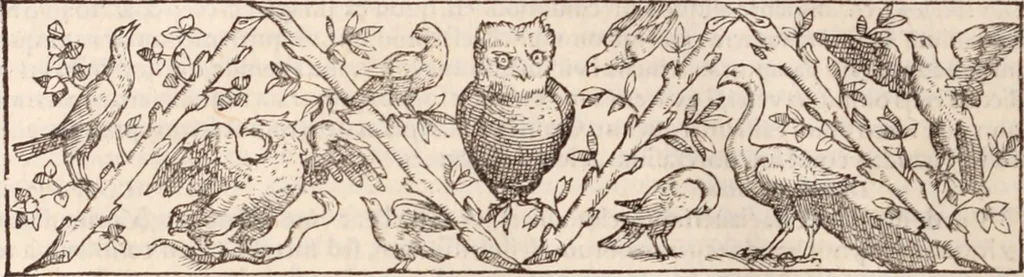 An illustration from Galeni omnia quae extant opera : in latinum sermonem conuersa, 1565, leaf 97