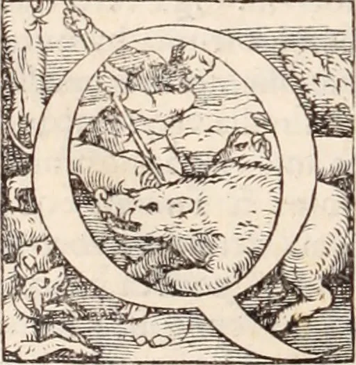 An illustration from Galeni omnia quae extant opera : in latinum sermonem conuersa, 1565, leaf 97