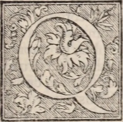 An illustration from Galeni omnia quae extant opera : in latinum sermonem conuersa, 1565, leaf 994