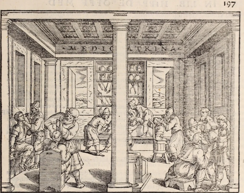 An illustration from Galeni omnia quae extant opera : in latinum sermonem conuersa, 1565, leaf 1002