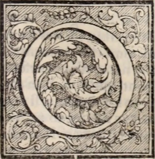 An illustration from Galeni omnia quae extant opera : in latinum sermonem conuersa, 1565, leaf 1002