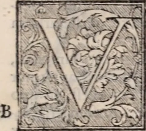 An illustration from Galeni omnia quae extant opera : in latinum sermonem conuersa, 1565, leaf 1018