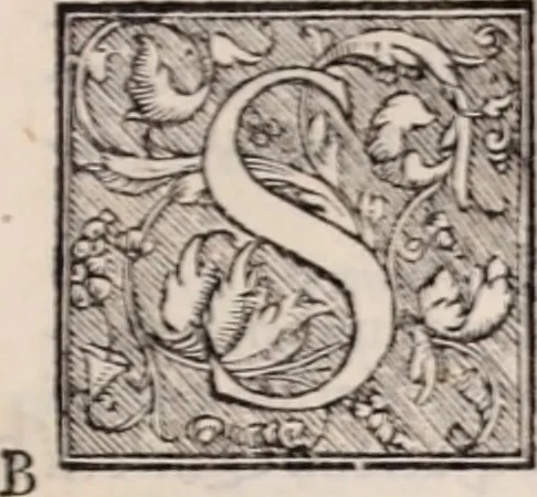 An illustration from Galeni omnia quae extant opera : in latinum sermonem conuersa, 1565, leaf 102