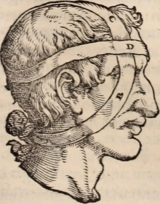 An illustration from Galeni omnia quae extant opera : in latinum sermonem conuersa, 1565, leaf 1020