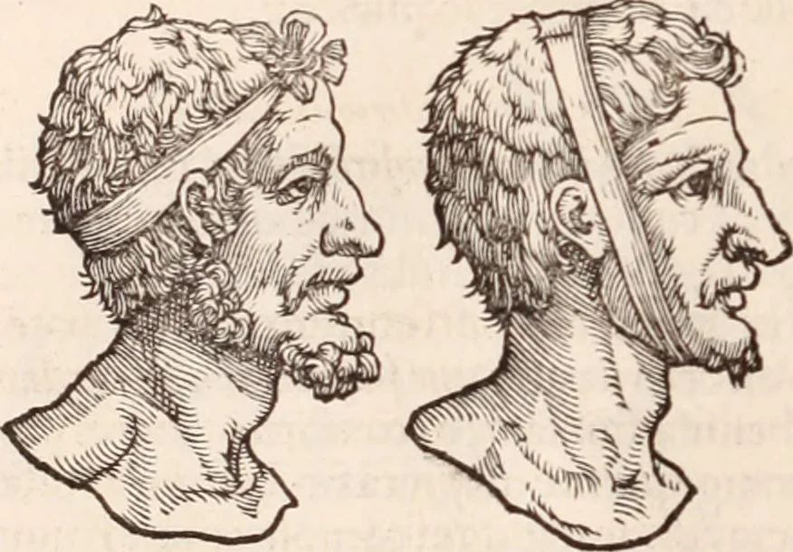 An illustration from Galeni omnia quae extant opera : in latinum sermonem conuersa, 1565, leaf 1025