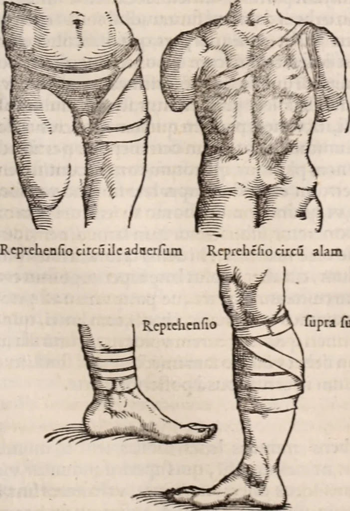 An illustration from Galeni omnia quae extant opera : in latinum sermonem conuersa, 1565, leaf 1026
