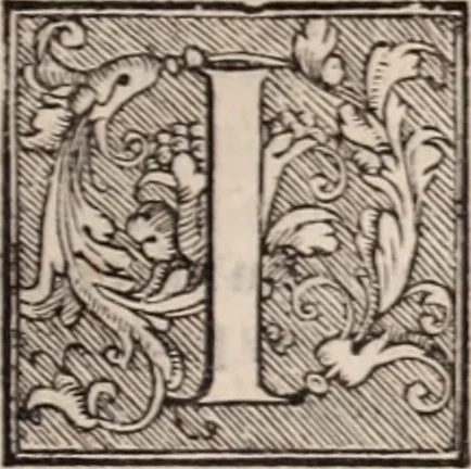 An illustration from Galeni omnia quae extant opera : in latinum sermonem conuersa, 1565, leaf 1036