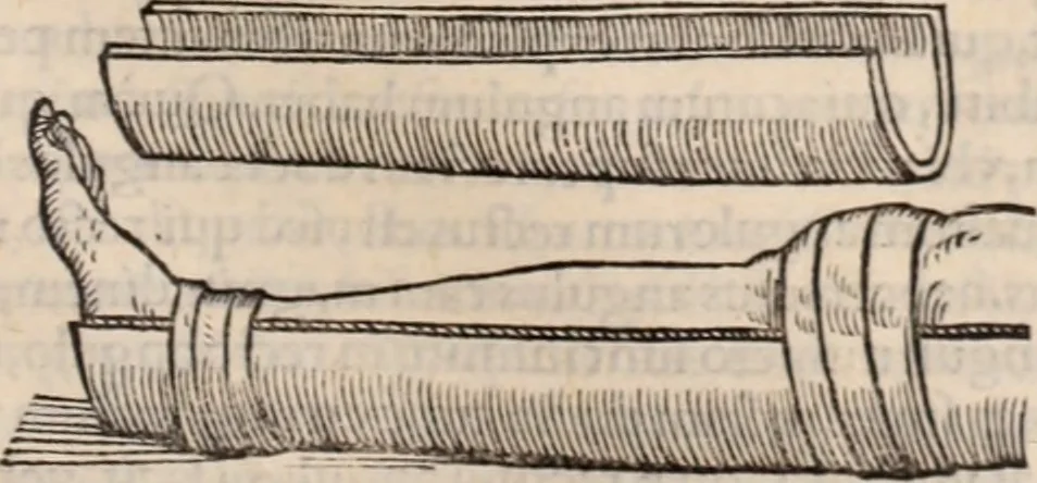 An illustration from Galeni omnia quae extant opera : in latinum sermonem conuersa, 1565, leaf 1040