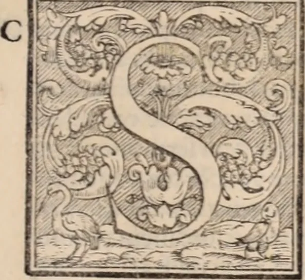 An illustration from Galeni omnia quae extant opera : in latinum sermonem conuersa, 1565, leaf 1054
