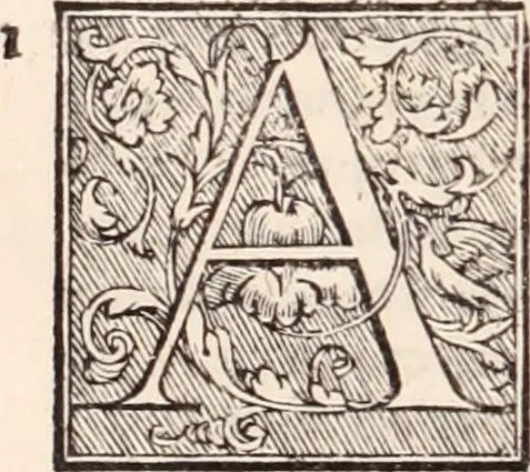 An illustration from Galeni omnia quae extant opera : in latinum sermonem conuersa, 1565, leaf 1071