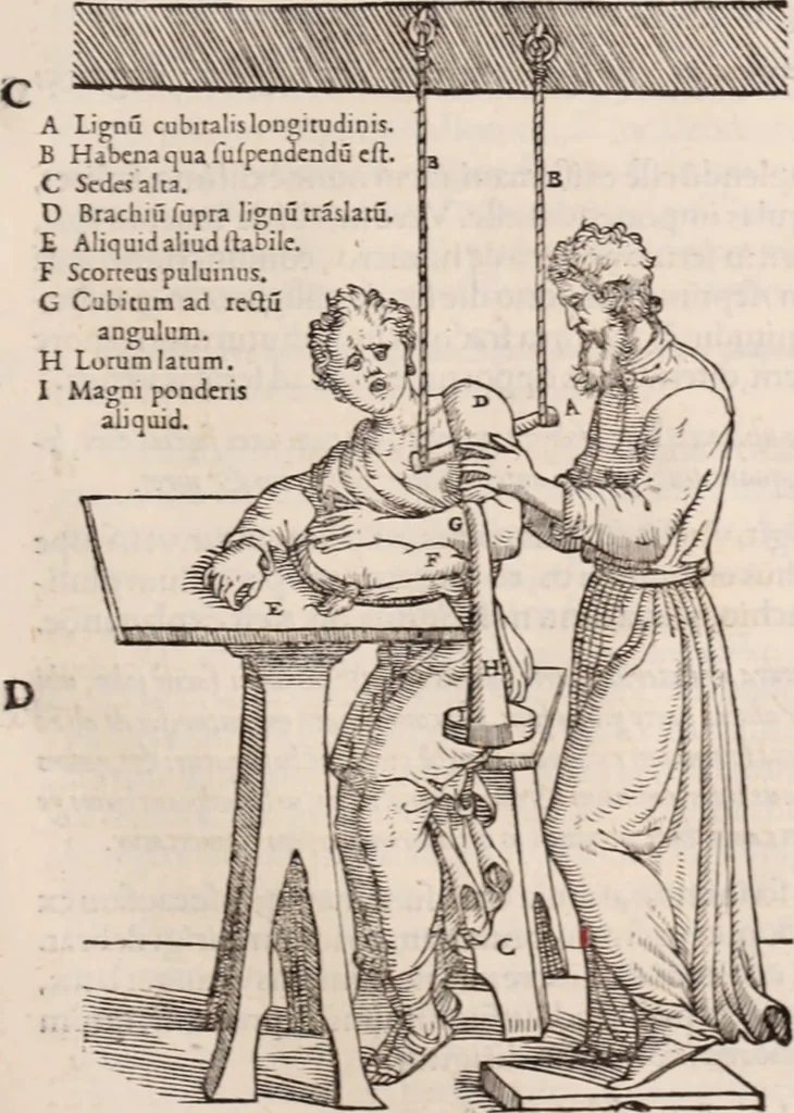 An illustration from Galeni omnia quae extant opera : in latinum sermonem conuersa, 1565, leaf 1072