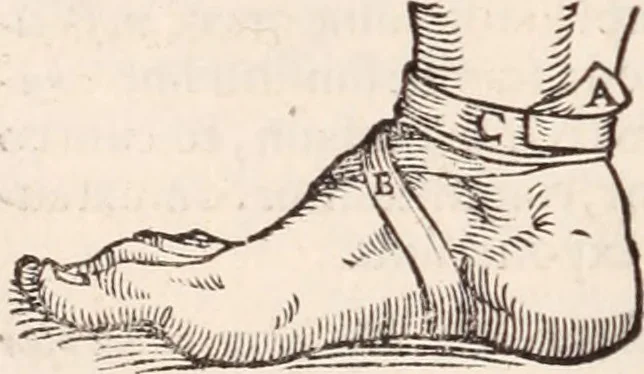 An illustration from Galeni omnia quae extant opera : in latinum sermonem conuersa, 1565, leaf 1077