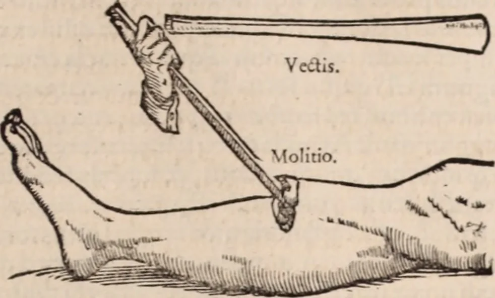 An illustration from Galeni omnia quae extant opera : in latinum sermonem conuersa, 1565, leaf 1102
