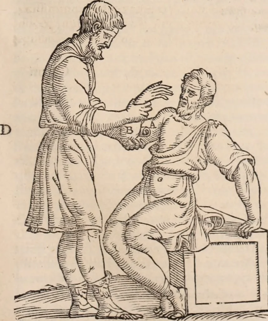 An illustration from Galeni omnia quae extant opera : in latinum sermonem conuersa, 1565, leaf 1108
