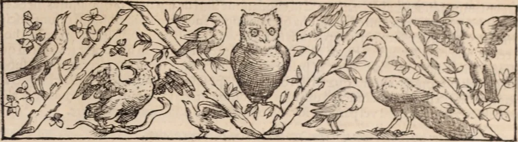 An illustration from Galeni omnia quae extant opera : in latinum sermonem conuersa, 1565, leaf 1110