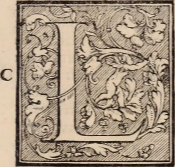 An illustration from Galeni omnia quae extant opera : in latinum sermonem conuersa, 1565, leaf 1110