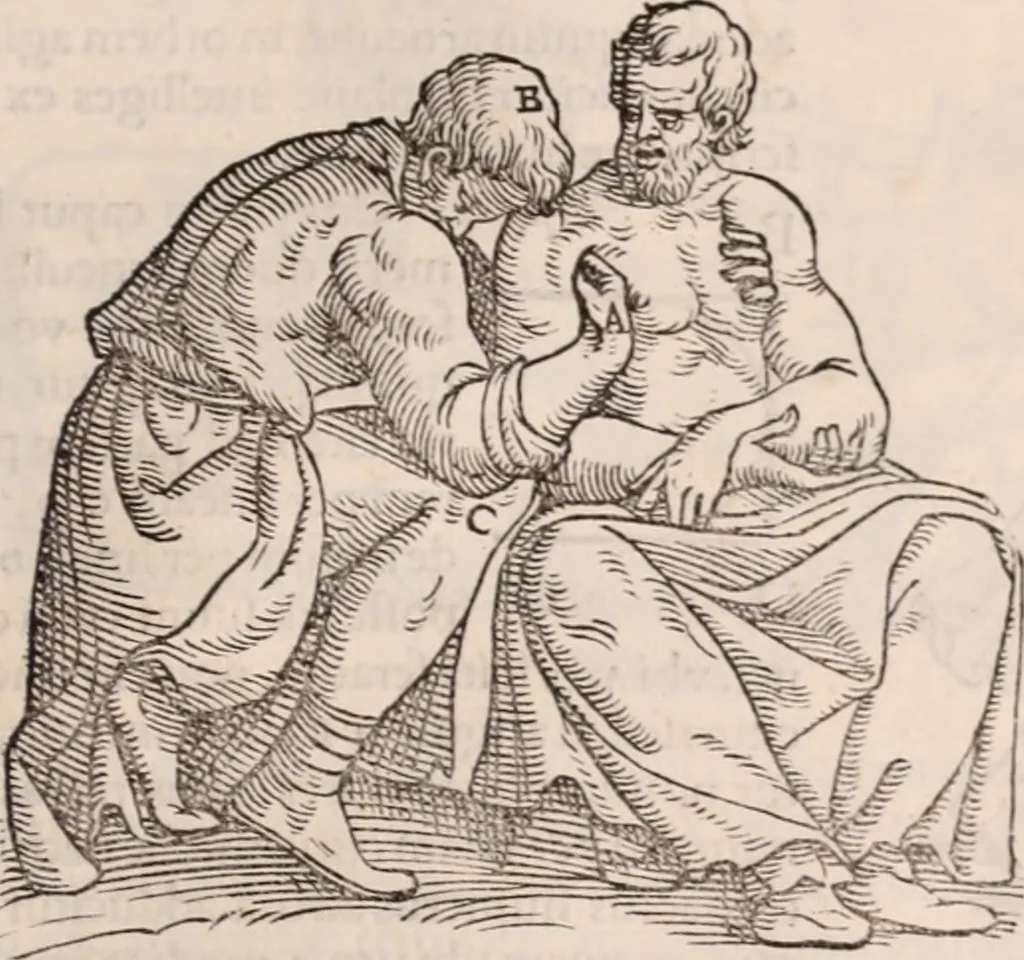 An illustration from Galeni omnia quae extant opera : in latinum sermonem conuersa, 1565, leaf 1114