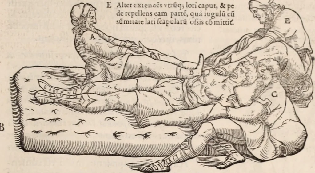 An illustration from Galeni omnia quae extant opera : in latinum sermonem conuersa, 1565, leaf 1116