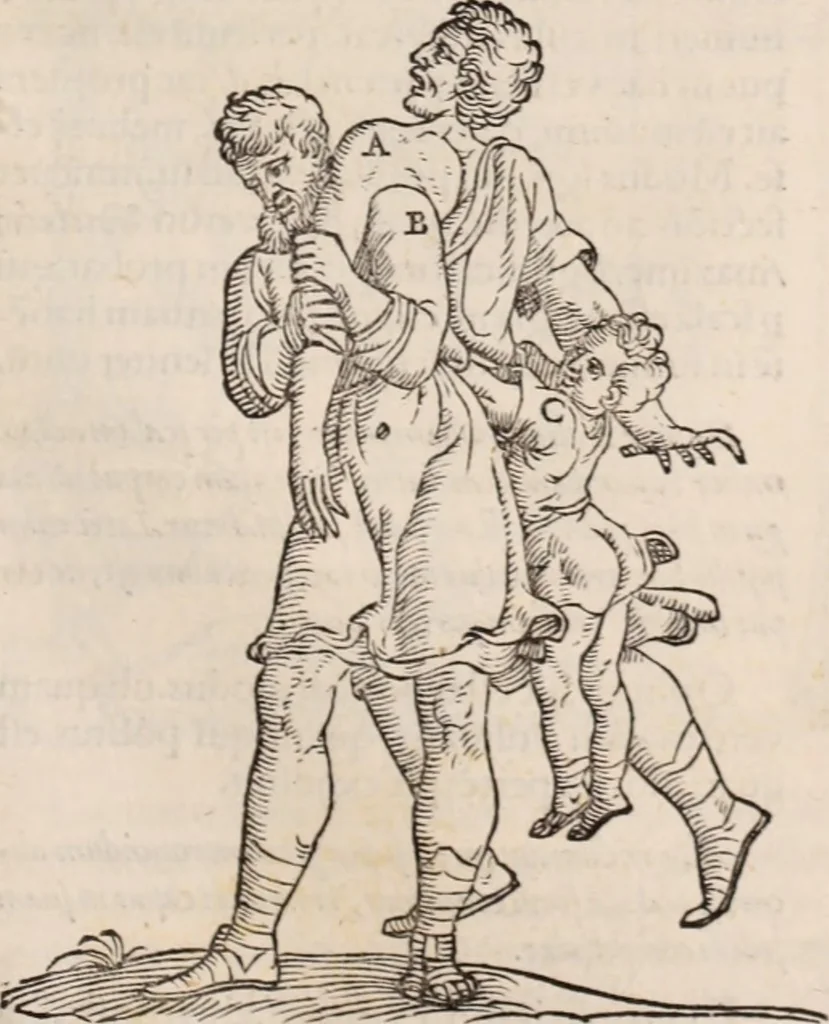 An illustration from Galeni omnia quae extant opera : in latinum sermonem conuersa, 1565, leaf 1116