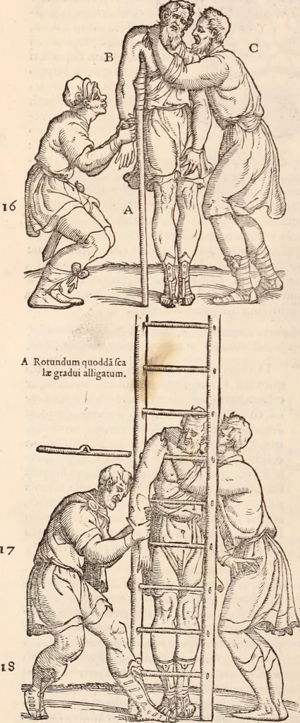 An illustration from Galeni omnia quae extant opera : in latinum sermonem conuersa, 1565, leaf 1117