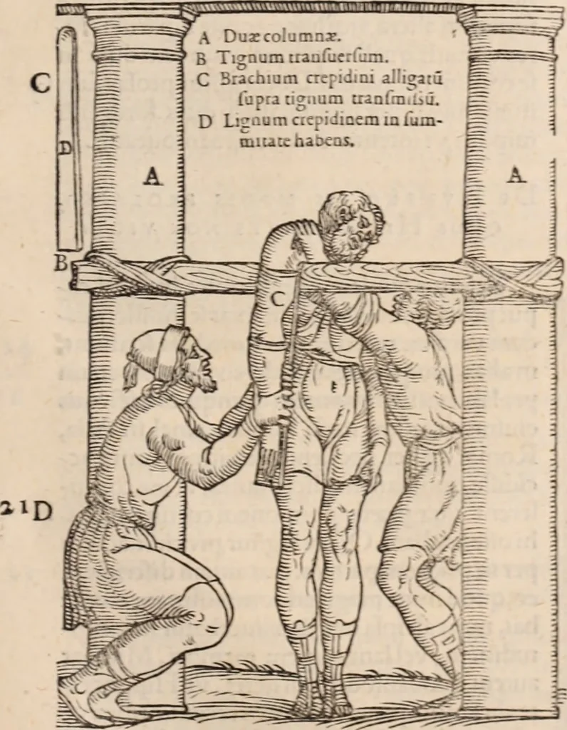 An illustration from Galeni omnia quae extant opera : in latinum sermonem conuersa, 1565, leaf 1118