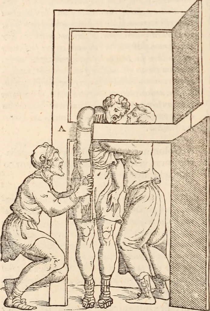 An illustration from Galeni omnia quae extant opera : in latinum sermonem conuersa, 1565, leaf 1119