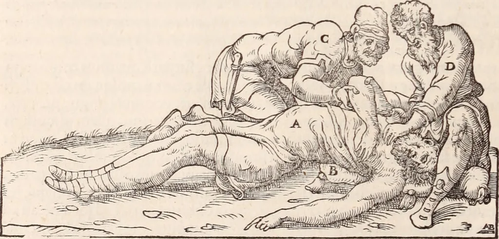 An illustration from Galeni omnia quae extant opera : in latinum sermonem conuersa, 1565, leaf 1131