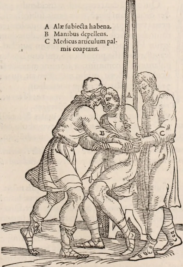 An illustration from Galeni omnia quae extant opera : in latinum sermonem conuersa, 1565, leaf 1132