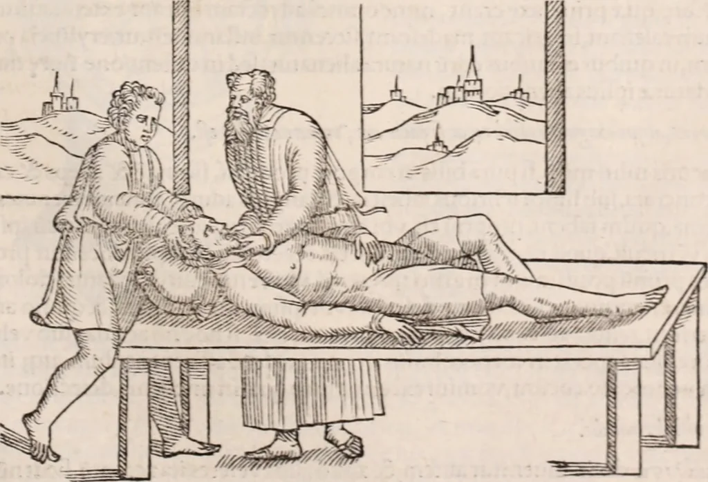 An illustration from Galeni omnia quae extant opera : in latinum sermonem conuersa, 1565, leaf 1136