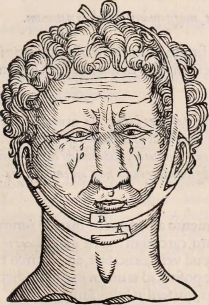 An illustration from Galeni omnia quae extant opera : in latinum sermonem conuersa, 1565, leaf 1138
