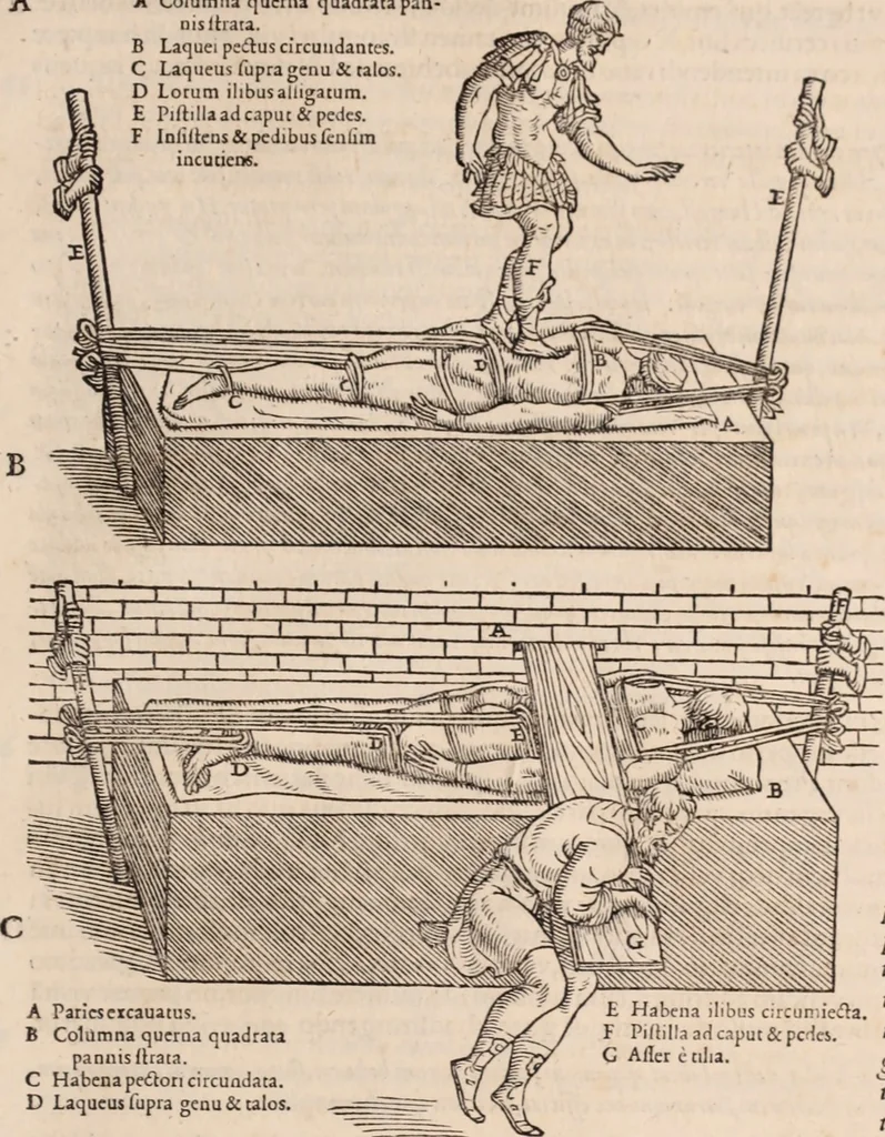 An illustration from Galeni omnia quae extant opera : in latinum sermonem conuersa, 1565, leaf 1156