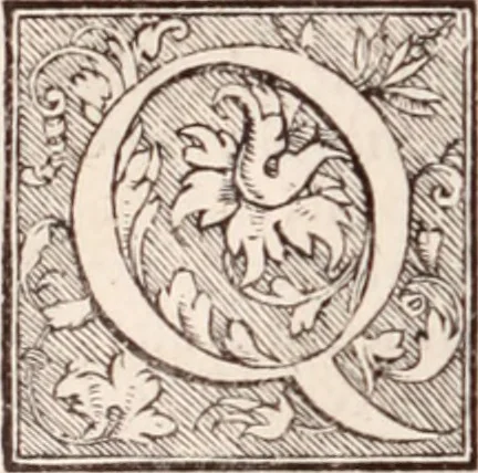 An illustration from Galeni omnia quae extant opera : in latinum sermonem conuersa, 1565, leaf 117