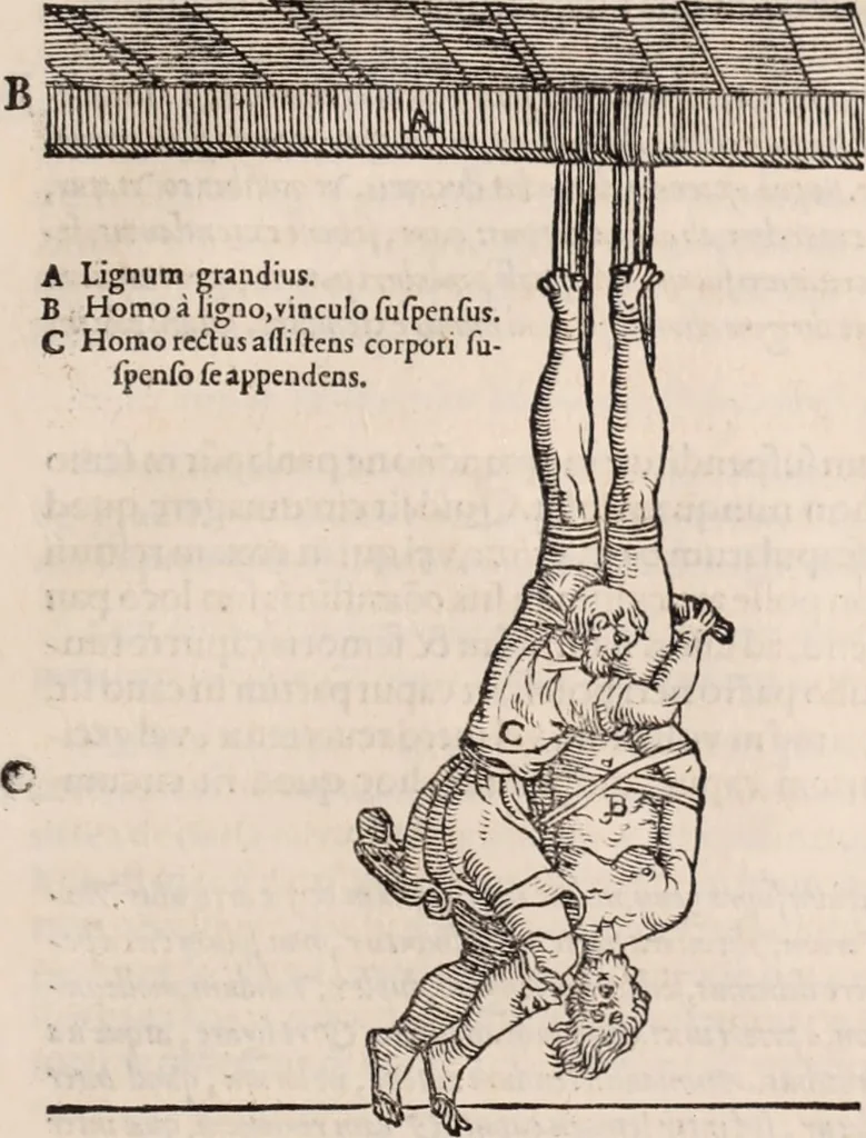 An illustration from Galeni omnia quae extant opera : in latinum sermonem conuersa, 1565, leaf 1186