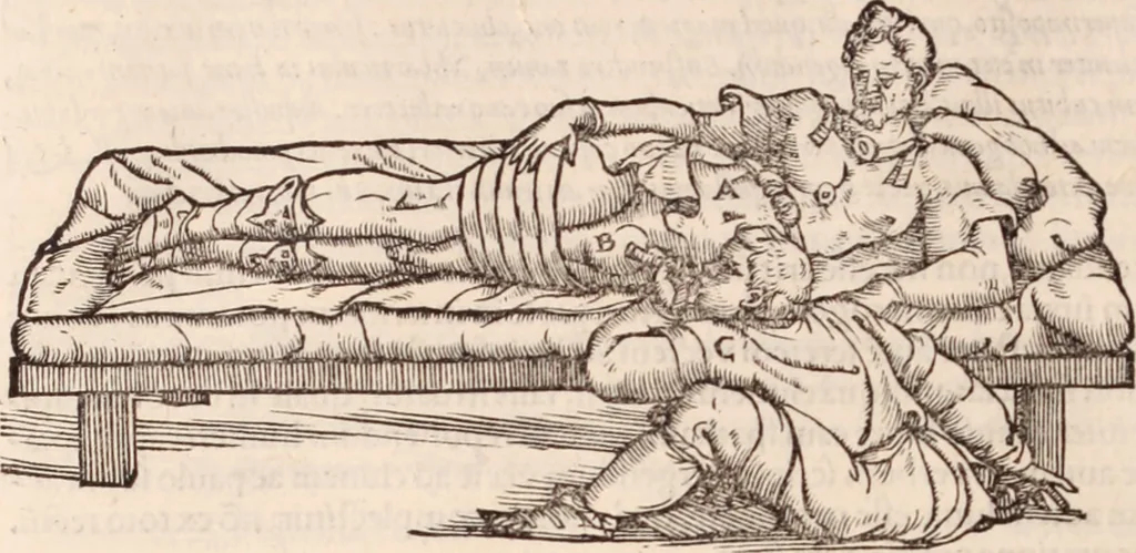 An illustration from Galeni omnia quae extant opera : in latinum sermonem conuersa, 1565, leaf 1191