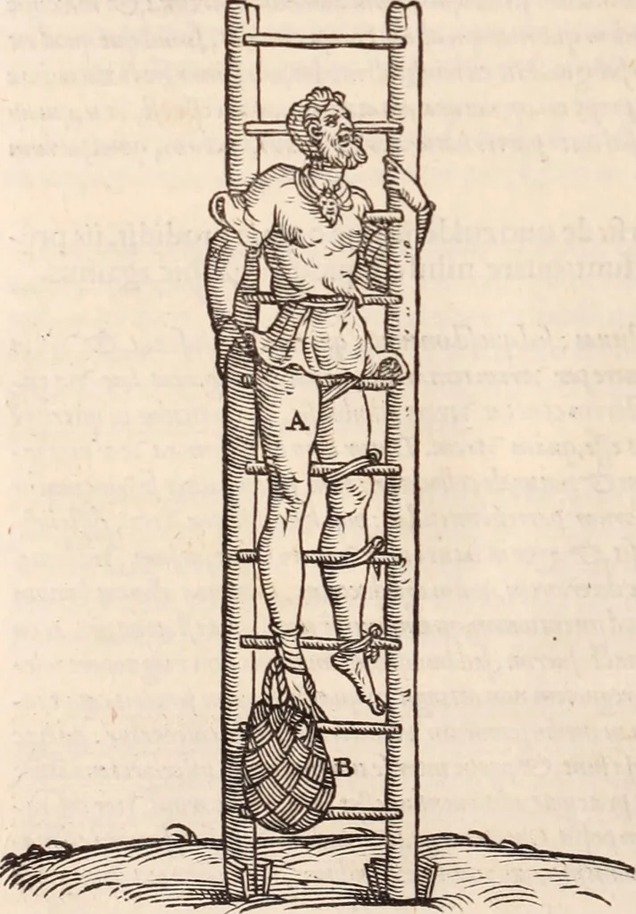 An illustration from Galeni omnia quae extant opera : in latinum sermonem conuersa, 1565, leaf 1191