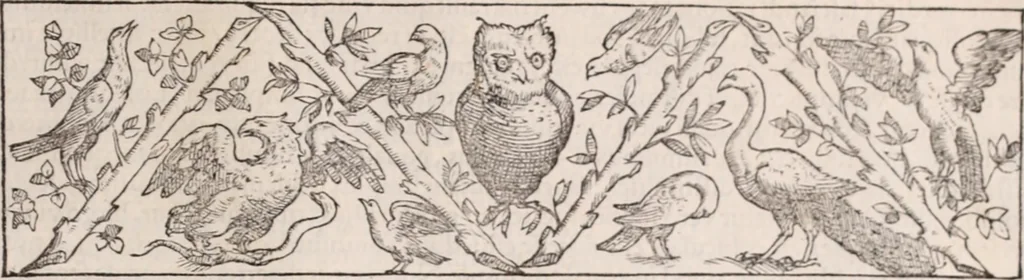 An illustration from Galeni omnia quae extant opera : in latinum sermonem conuersa, 1565, leaf 1194