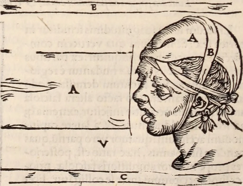 An illustration from Galeni omnia quae extant opera : in latinum sermonem conuersa, 1565, leaf 1197