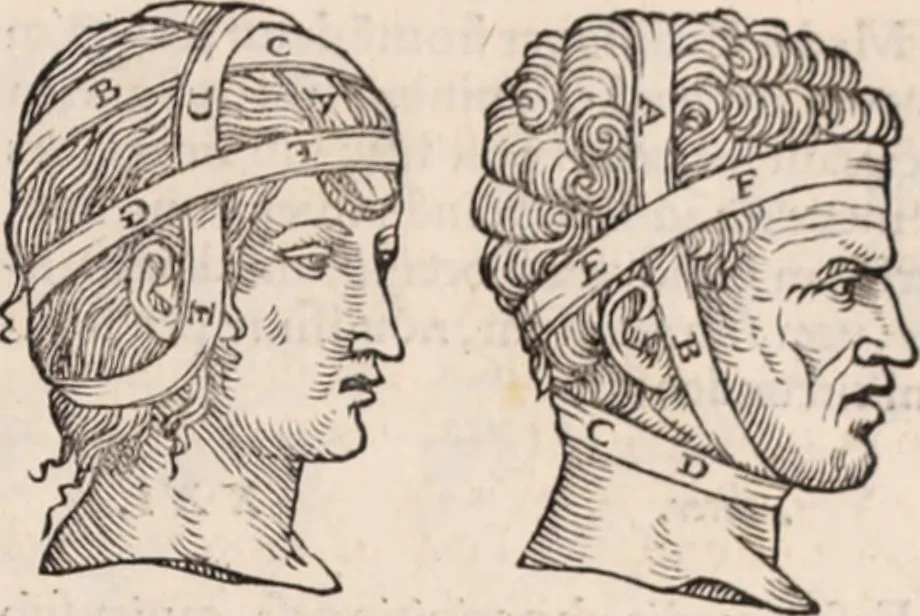 An illustration from Galeni omnia quae extant opera : in latinum sermonem conuersa, 1565, leaf 1200