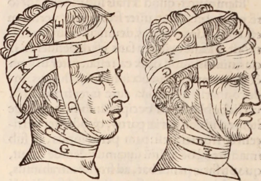 An illustration from Galeni omnia quae extant opera : in latinum sermonem conuersa, 1565, leaf 1201
