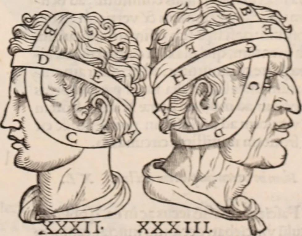An illustration from Galeni omnia quae extant opera : in latinum sermonem conuersa, 1565, leaf 1202