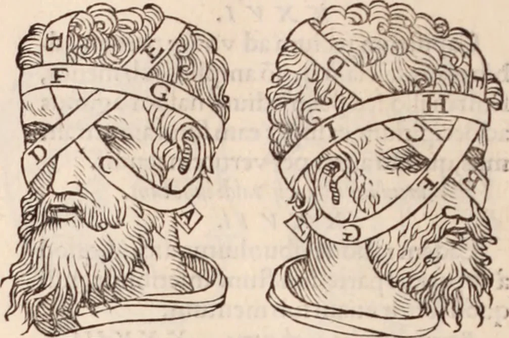 An illustration from Galeni omnia quae extant opera : in latinum sermonem conuersa, 1565, leaf 1203