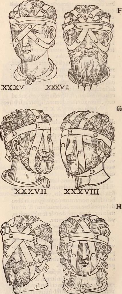 An illustration from Galeni omnia quae extant opera : in latinum sermonem conuersa, 1565, leaf 1203