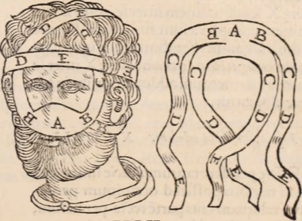 An illustration from Galeni omnia quae extant opera : in latinum sermonem conuersa, 1565, leaf 1204
