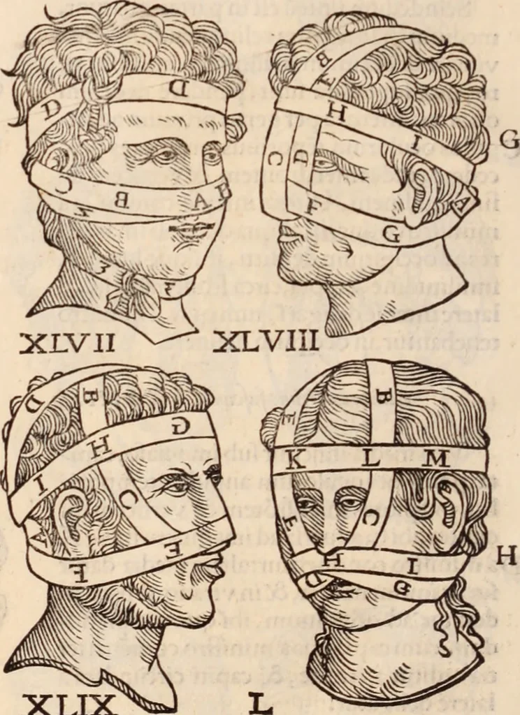An illustration from Galeni omnia quae extant opera : in latinum sermonem conuersa, 1565, leaf 1205