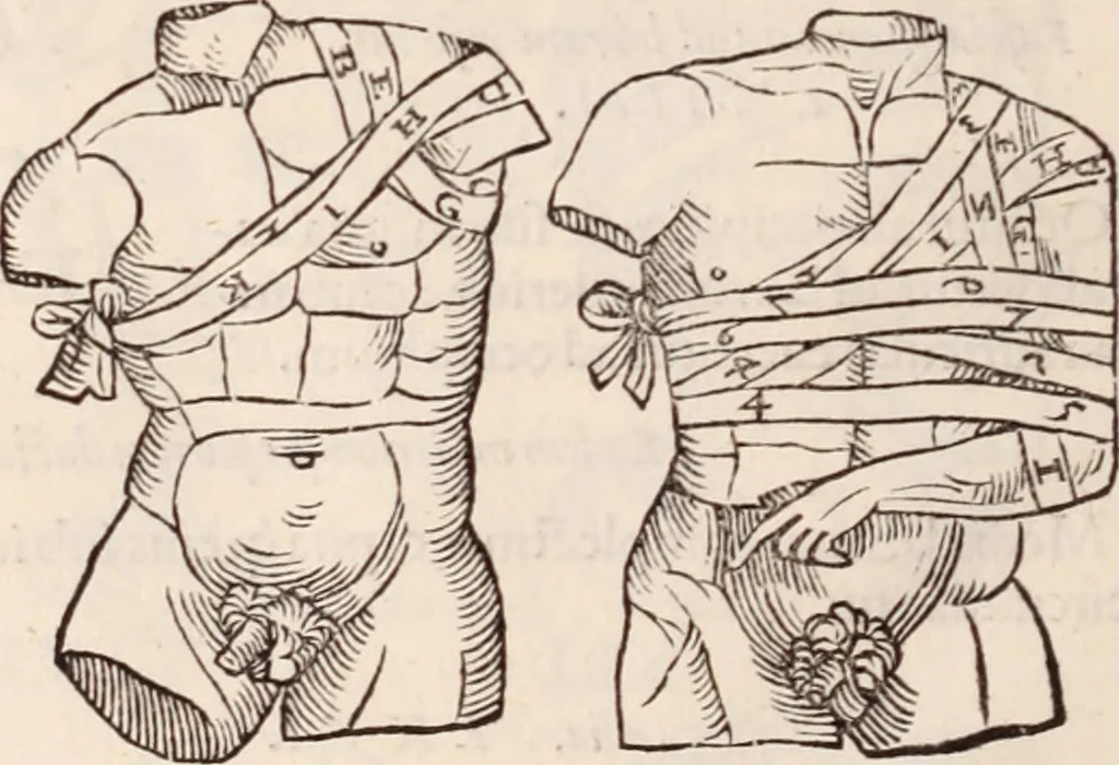 An illustration from Galeni omnia quae extant opera : in latinum sermonem conuersa, 1565, leaf 1209