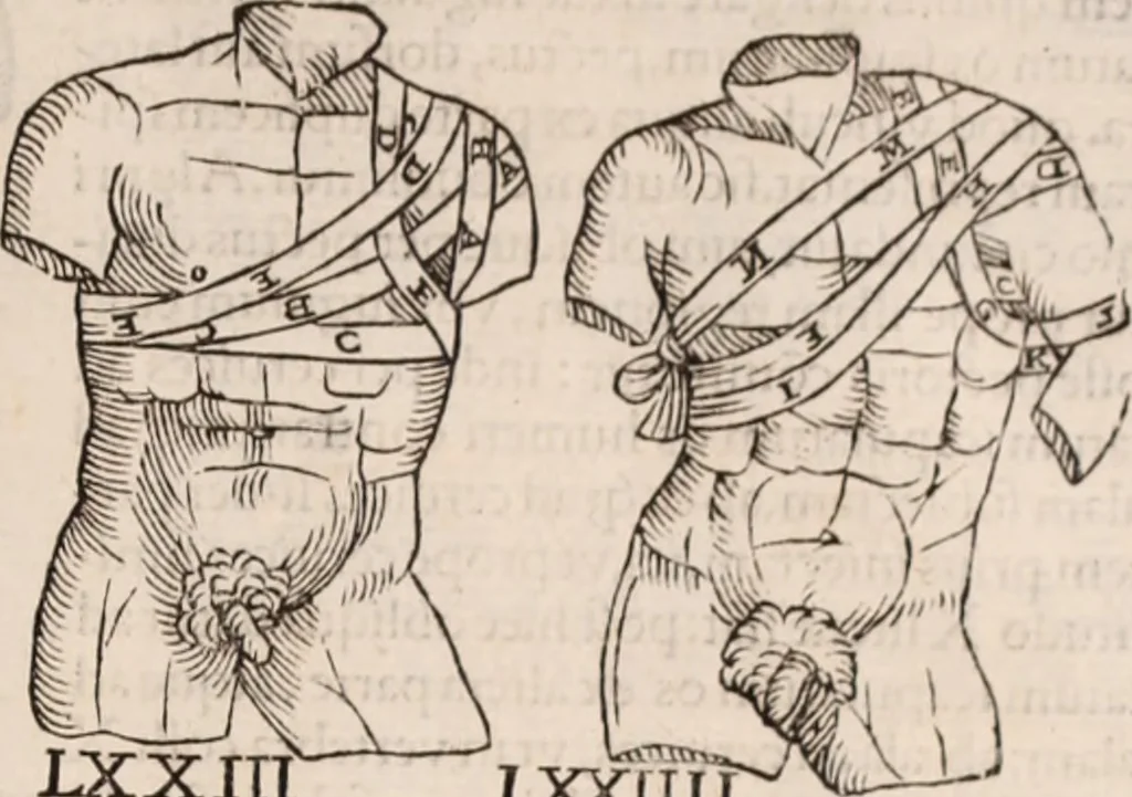 An illustration from Galeni omnia quae extant opera : in latinum sermonem conuersa, 1565, leaf 1210