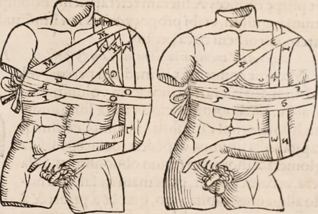 An illustration from Galeni omnia quae extant opera : in latinum sermonem conuersa, 1565, leaf 1210