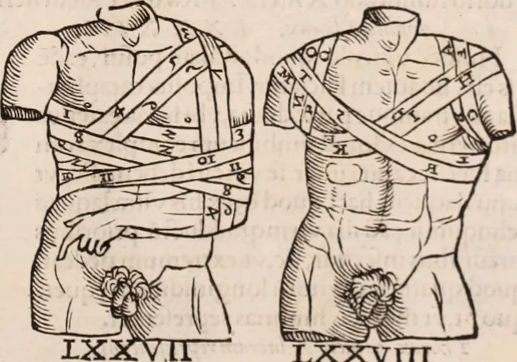 An illustration from Galeni omnia quae extant opera : in latinum sermonem conuersa, 1565, leaf 1210