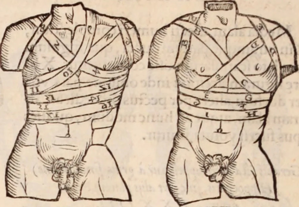 An illustration from Galeni omnia quae extant opera : in latinum sermonem conuersa, 1565, leaf 1211